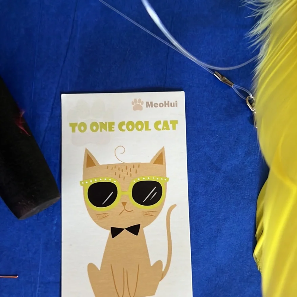 Calling all cat lovers